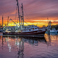 Bayou Sunset, 11/5/20, Erica Lynn